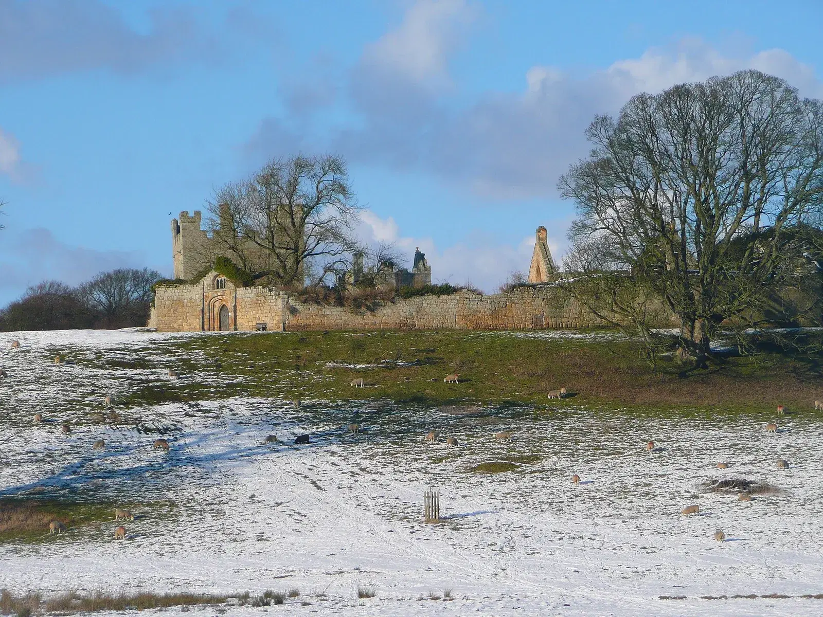 The Lost Buildings of Alnwick
